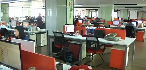 張學龍一行實地調研民營企業，助力創新發展與實業投資